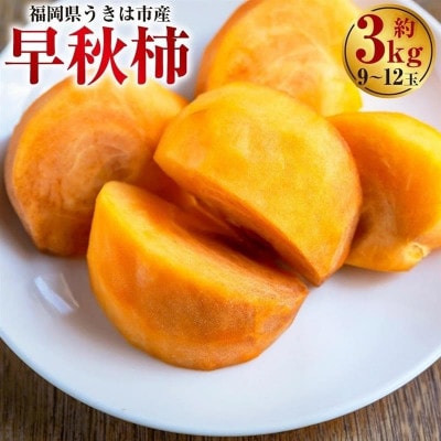 【先行予約】西見柿農園 早秋柿 9玉から12玉(約3kg)【2026年10月上旬より順次発送予定】
