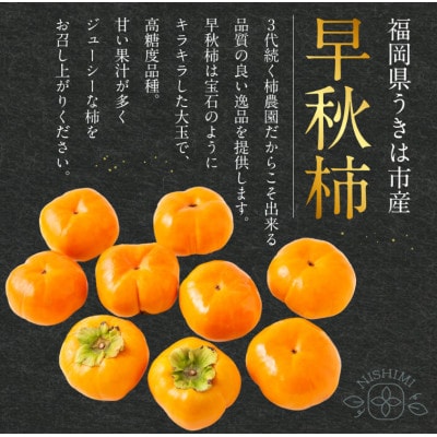 【先行予約】西見柿農園 早秋柿 9玉から12玉(約3kg)【2026年10月上旬より順次発送予定】
