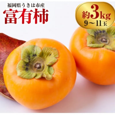 【先行予約】西見柿農園 富有柿 9玉から11玉(約3kg)【2026年11月上旬より順次発送予定】