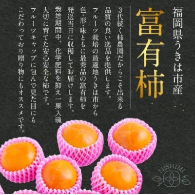 【先行予約】西見柿農園 富有柿 9玉から11玉(約3kg)【2026年11月上旬より順次発送予定】