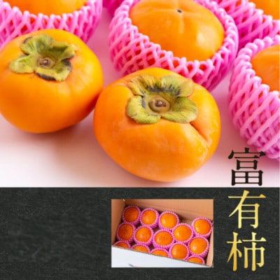 【先行予約】西見柿農園 富有柿 9玉から11玉(約3kg)【2026年11月上旬より順次発送予定】