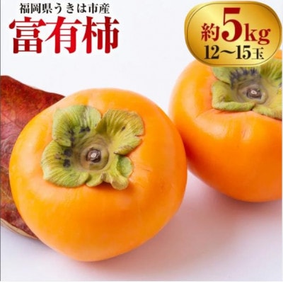【先行予約】西見柿農園 富有柿 12玉から15玉(約5kg)【2026年11月上旬より順次発送予定】