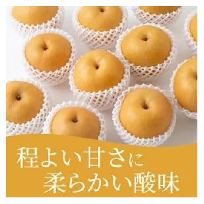 【2026年10月上旬より順次発送予定】春光園 新興梨 6～10玉(約3kg)(うきは市)