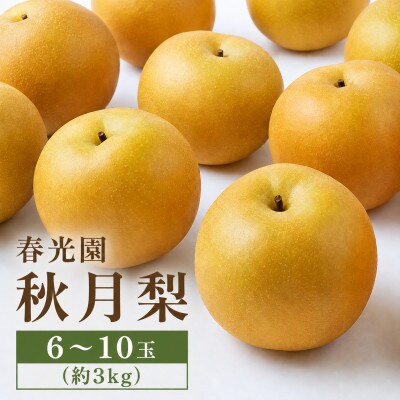 【2026年8月下旬より順次発送予定】春光園 秋月梨 6～10玉(約3kg)(うきは市)