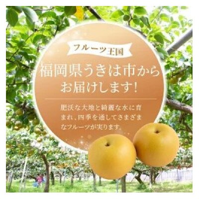 【2026年8月下旬より順次発送予定】春光園 秋月梨 6～10玉(約3kg)(うきは市)