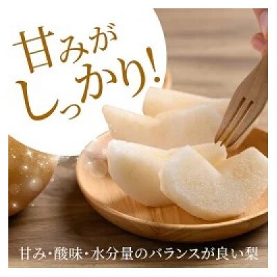 【2026年8月下旬より順次発送予定】春光園 秋月梨 8～15玉 (約5kg)(うきは市)