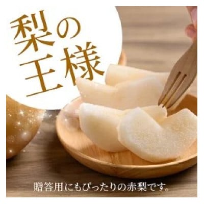 【2026年9月中旬より順次発送予定】春光園 新高梨 4～7玉(約3kg)(うきは市)