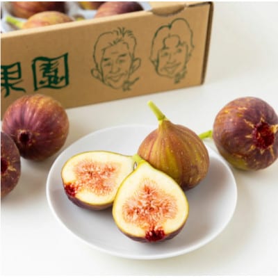【2026年8月上旬-9月下旬発送予定】吉瀬森果園 イチジク(とよみつひめ)L玉 12個入り