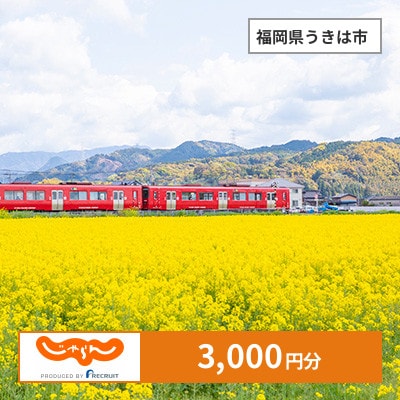 【じゃらんふるさと納税クーポン】 福岡県うきは市でつかえる3,000円 クーポン