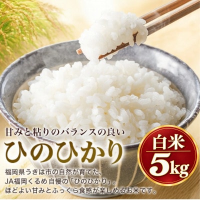 【先行予約】令和8年産 福岡県うきは市産 ひのひかり 白米 5kg