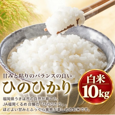 【先行予約】令和8年産 福岡県うきは市産 ひのひかり 白米 10kg