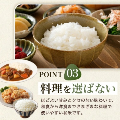 【先行予約】令和8年産 福岡県うきは市産 ひのひかり 白米 10kg