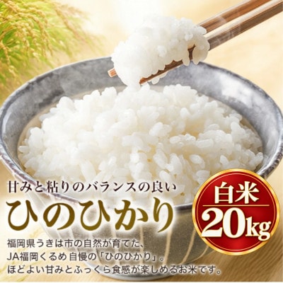 【先行予約】令和8年産 福岡県うきは市産 ひのひかり 白米 20kg