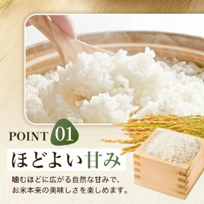 【先行予約】令和8年産 福岡県うきは市産 ひのひかり 白米 20kg