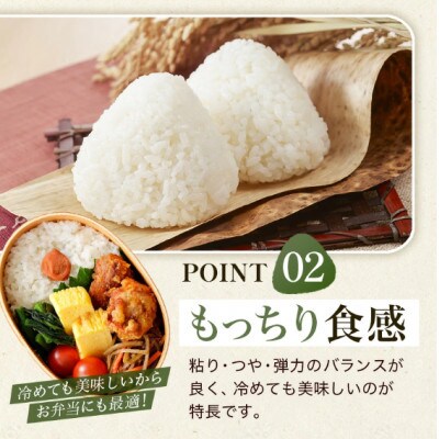 【先行予約】令和8年産 福岡県うきは市産 ひのひかり 白米 20kg