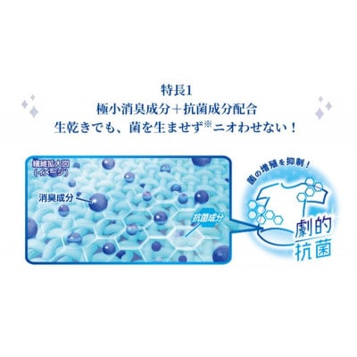 ソフランプレミアム消臭　フローラルアロマの香り(詰め替え用特大×6個)ライオン[53961911]