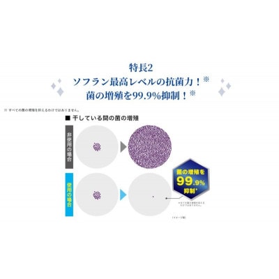 ソフランプレミアム消臭　フローラルアロマの香り(詰め替え用特大×6個)ライオン[53961911]