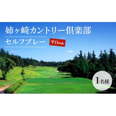 ゴルフ場 千葉 姉ヶ崎カントリー倶楽部 セルフプレー 平日のみ 1名様[53960412]