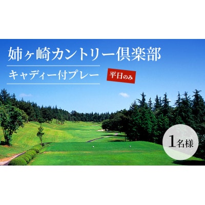 ゴルフ場 千葉 姉ヶ崎カントリー倶楽部 キャディー付プレー 平日のみ 1名様[53960418]