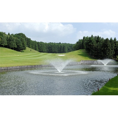 ゴルフ場 千葉 源氏山ゴルフクラブ 土日祝 1R 1名様セルフプレー券[53960509]