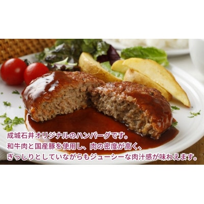 成城石井 ハンバーグステーキ プレーン 6個  [53960669]
