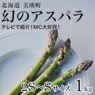 幻のアスパラガス 2S～Sサイズ1kg 【令和8年産】 北海道 美瑛町