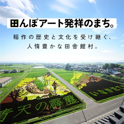 田舎館村産米 青天の霹靂 精米(10kg×1袋)