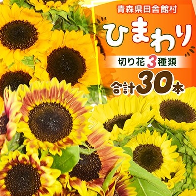 【2026年発送】ひまわり(切り花3種類)合計30本