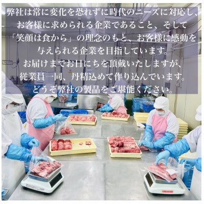 【毎月定期便】薄切り牛たんスライス 味付け無し 1kg(500g×2袋)全6回