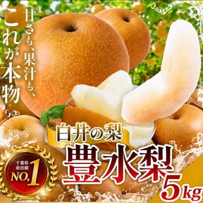 【2026年産】しろいの梨(豊水)5kg (2026年8月中旬から9月上旬発送)