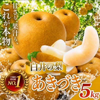 【2026年産】しろいの梨(あきづき)5kg (2026年9月上旬～下旬発送)