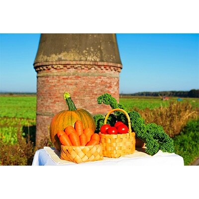北海道野菜100%ジュース 160g×20缶入