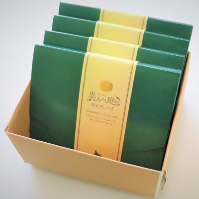 恵みの庭のかぼちゃパイ4箱セット