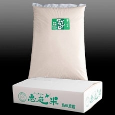 北海道恵庭産　たつや自慢の米　ななつぼし10kg