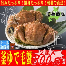 本当の美味しさを味わうならコレ!朝茹で直送『未冷凍』毛ガニ　400g前後×2尾【s-K4-2】