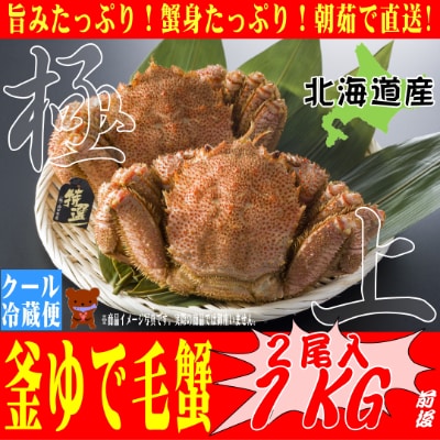 本当の美味しさを味わうならコレ!朝茹で直送『未冷凍』毛ガニ 500g前後×2尾【s-K5-2】
