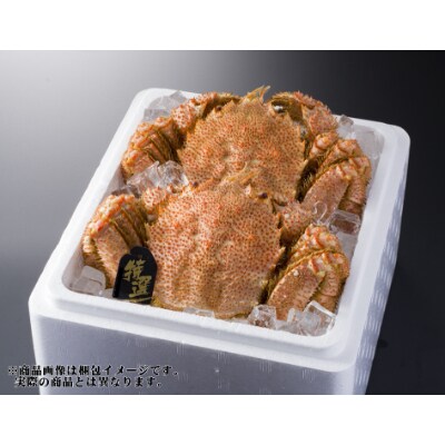 本当の美味しさを味わうならコレ!朝茹で直送『未冷凍』毛ガニ 500g前後×2尾【s-K5-2】