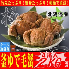 本当の美味しさを味わうならコレ!朝茹で直送『未冷凍』毛ガニ　500g前後×4尾【s-K5-4】