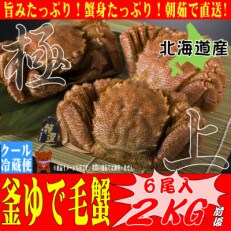 本当の美味しさを味わうならコレ!朝茹で直送『未冷凍』毛ガニ　350g前後×6尾【sK36】