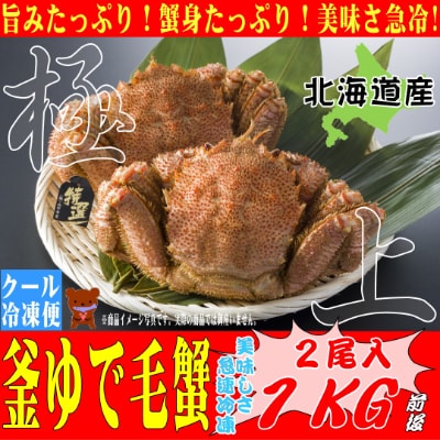【北海道産】500g前後の毛ガニ×2尾<旨みと甘みを急速冷凍した一品>