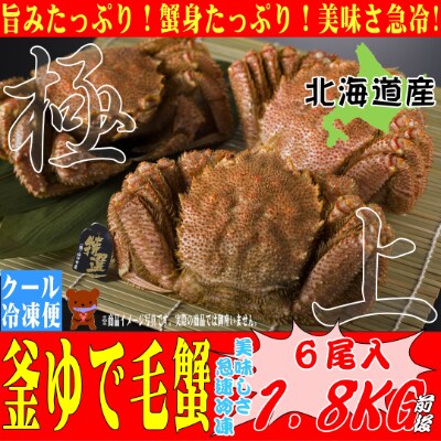 【北海道産】300g前後の毛ガニ×6尾<旨みと甘みを急速冷凍した一品>