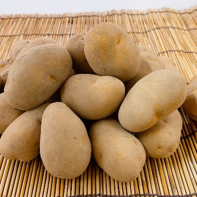 【新じゃが】恵庭産インカのめざめ混合14kg