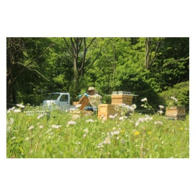 飲むはちみつ 群馬県産はちみつのお酒 300ml 3本セット