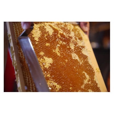 ミツバチが育てた梅とはちみつの梅酒 300ml 3本セット