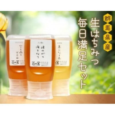 群馬県産「生はちみつ」毎日満足セット