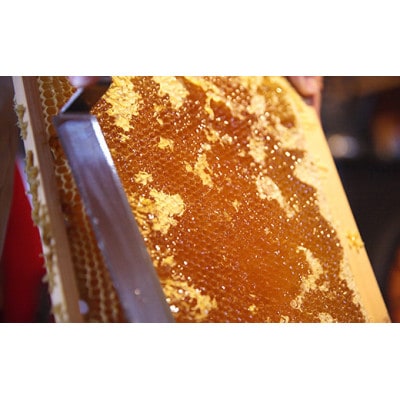 群馬県産「生はちみつ」毎日満足セット