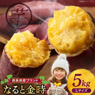 さつまいも 大人気! なると金時 5kg