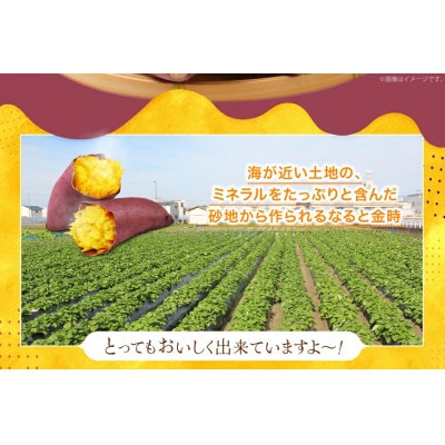 さつまいも 大人気! なると金時 5kg