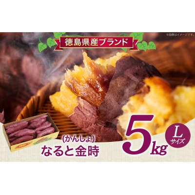 さつまいも 大人気! なると金時 5kg