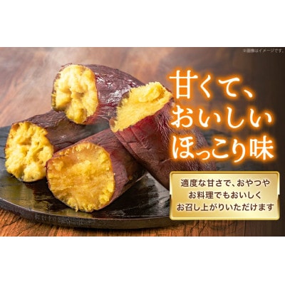 さつまいも 大人気! なると金時 5kg